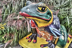 Ist heute schon Mittwoch? Froschgesang