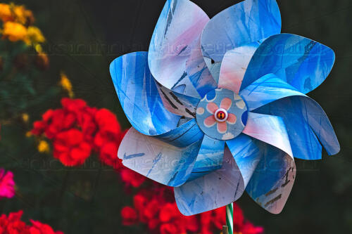 Kinder-Windmühle im Blumenkasten