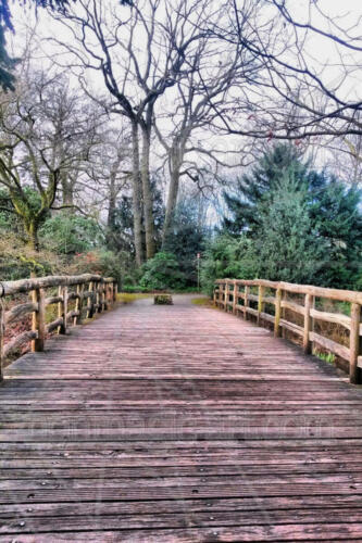 Die Brücke zum Park