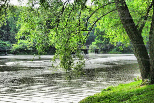 Der See im Park