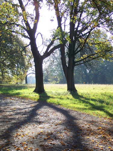 Licht und Schatten