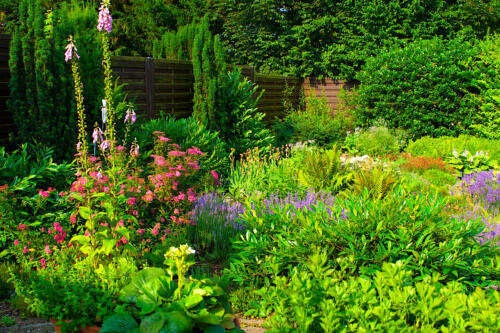 Der Garten im Frühsommer.