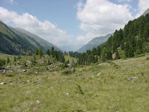 Auf dem Weg zur Alm.