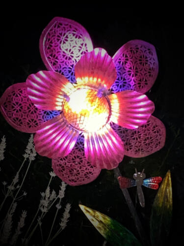 Diese Blume leuchtet in der Nacht.