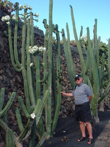 Urlaub auf Lanzarote