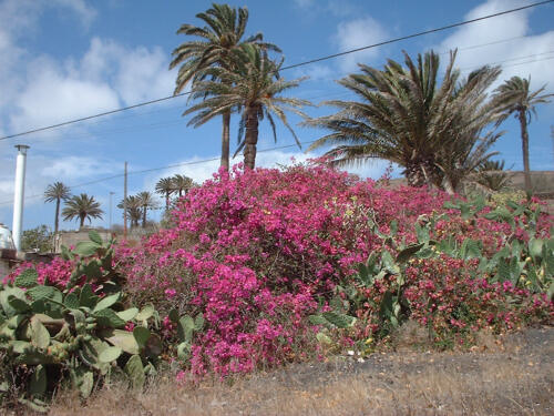 Urlaub auf Lanzarote