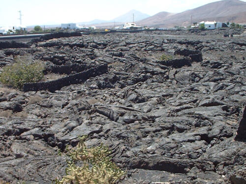 Urlaub auf Lanzarote