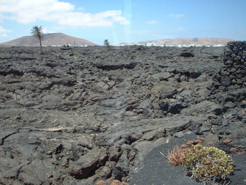 Urlaub auf Lanzarote