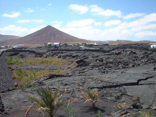 Urlaub auf Lanzarote