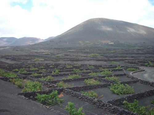 Urlaub auf Lanzarote