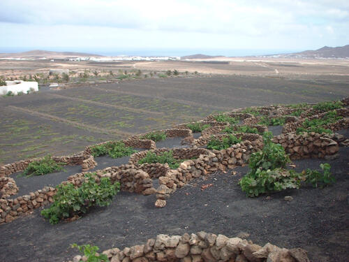 Urlaub auf Lanzarote