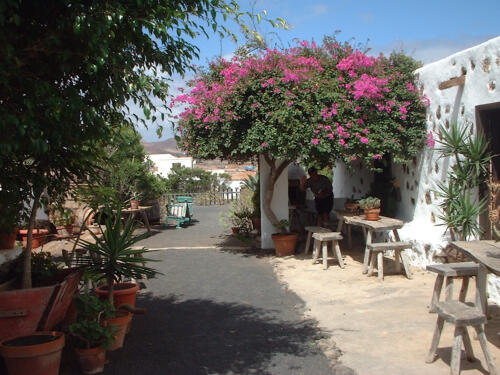 Urlaub auf Lanzarote