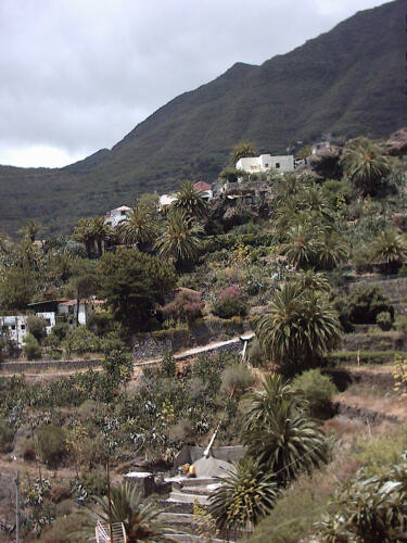 Urlaub auf Teneriffa