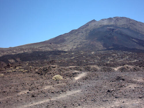 Urlaub auf Teneriffa