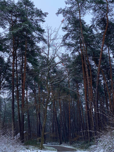 Dämmerung, Zeit, umzukehren.