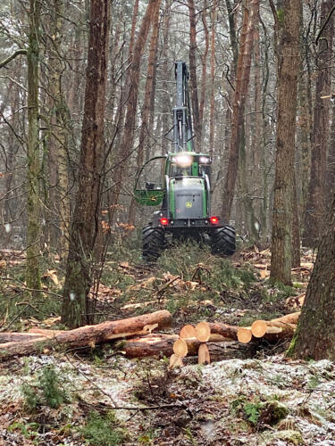 Waldarbeiten im Winter.