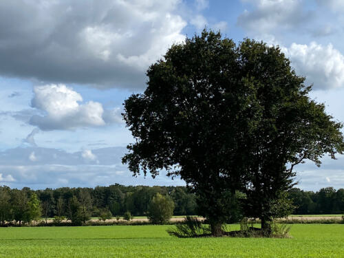 Ländliches Stilleben.