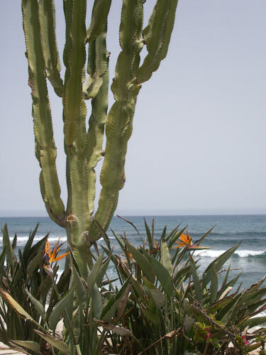 Urlaub auf Gran Canaria