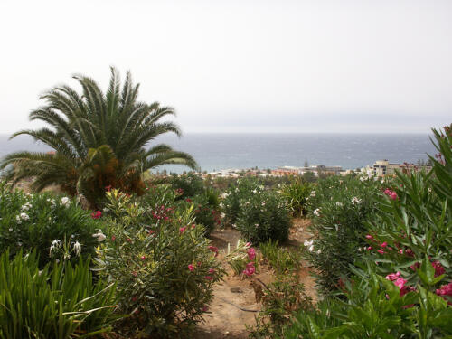 Urlaub auf Gran Canaria