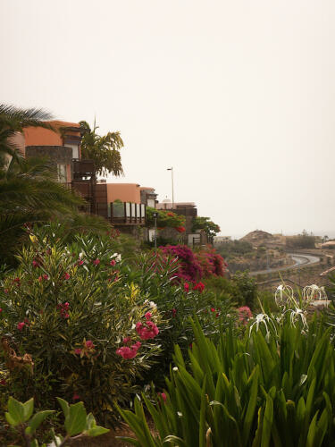 Urlaub auf Gran Canaria