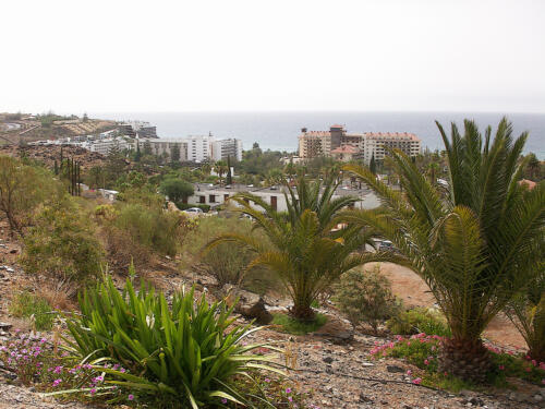 Urlaub auf Gran Canaria