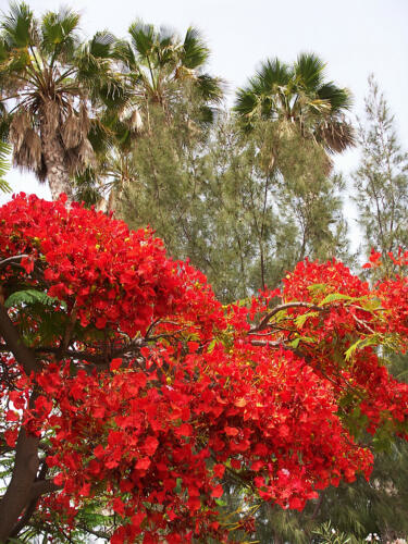 Urlaub auf Gran Canaria