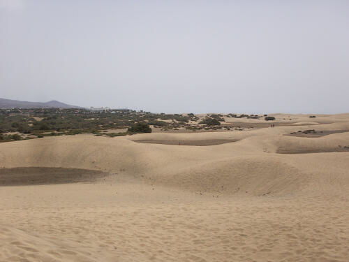 Urlaub auf Gran Canaria