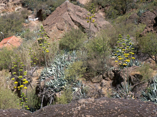 Urlaub auf Gran Canaria