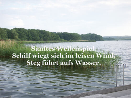 Sanftes Wellenspiel,   Schilf wiegt sich im leisen Wind,   Steg führt aufs Wasser.   