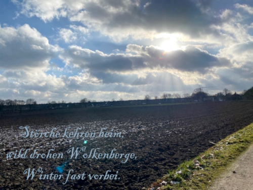 Störche kehren heim. <br>Wild drohen Wolkenberge. <br>Winter fast vorbei.