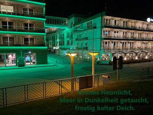 Grünes Neonlicht.<br>Meer in Dunkelheit getaucht.<br>Frostig kalter Deich.