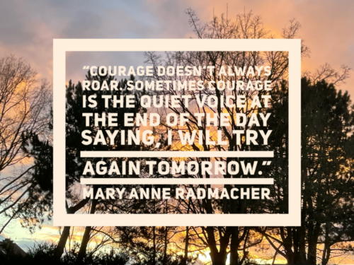 “Courage doesn’t always roar. Sometimes courage is the quiet voice at the end of the day saying, I will try again tomorrow.”   Mary Anne Radmacher